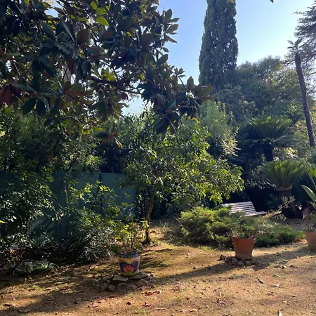 Valbois Cannes