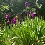 Bed and Breakfast Valbois Κάννες