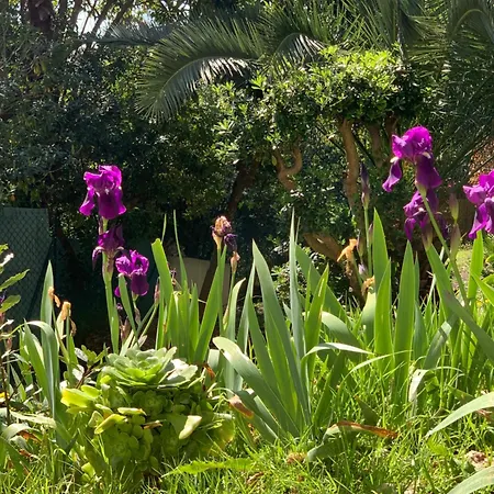 Valbois 住宿加早餐酒店 3*