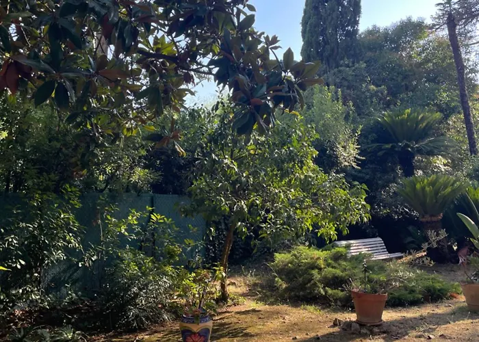 Valbois Cannes
