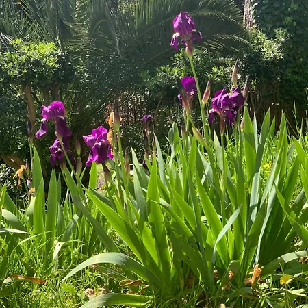 Frühstückspension Valbois Cannes