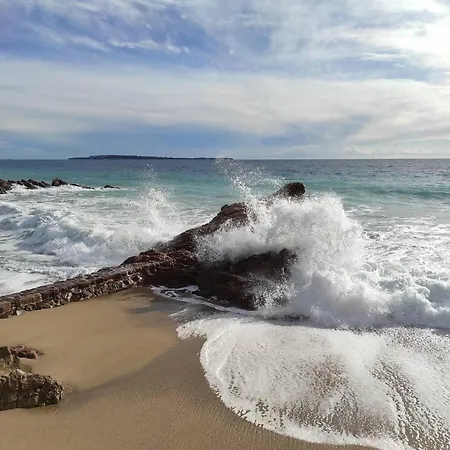 Valbois 3* Канны